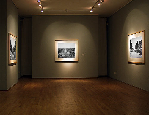 OMC Gallery - No Projekt