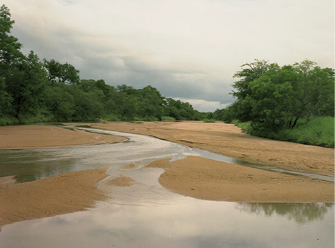 at the river