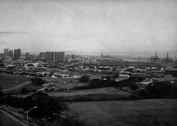 the paper negative