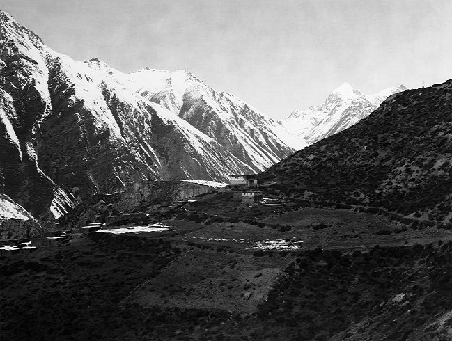 the paper negative