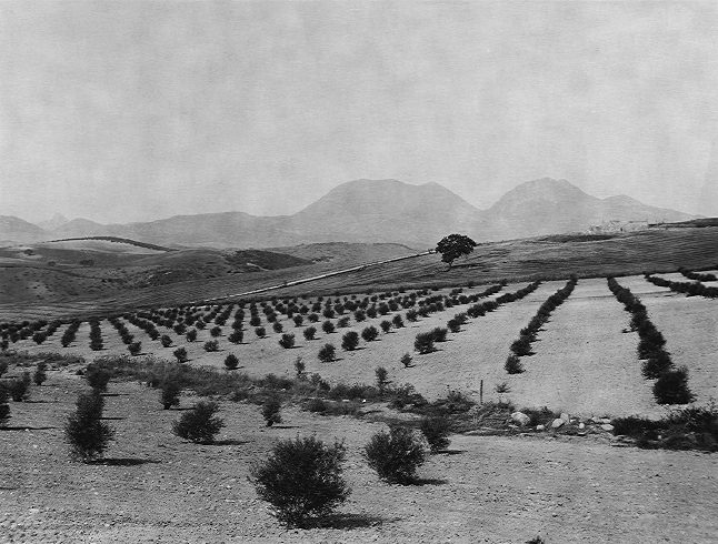 the paper negative